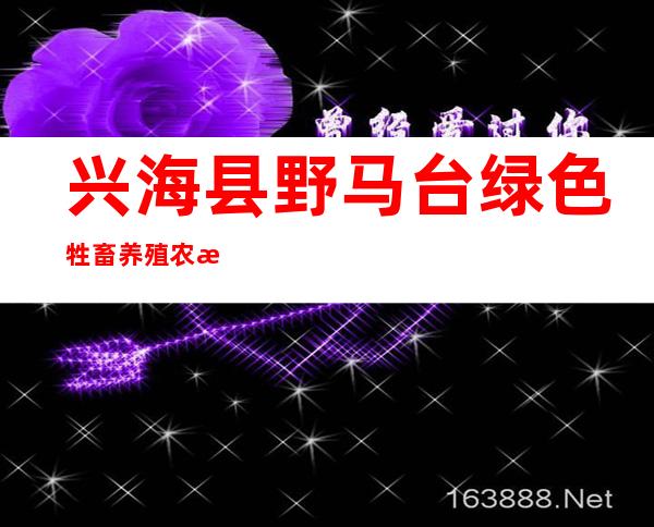 兴海县野马台绿色牲畜养殖农民专业合作社